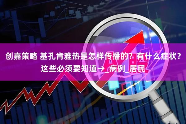 创嘉策略 基孔肯雅热是怎样传播的？有什么症状？这些必须要知道→_病例_居民